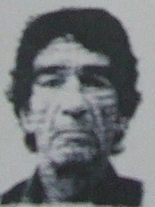 A passport photo shows Norwegian national Tomm Petter Emgretsen.